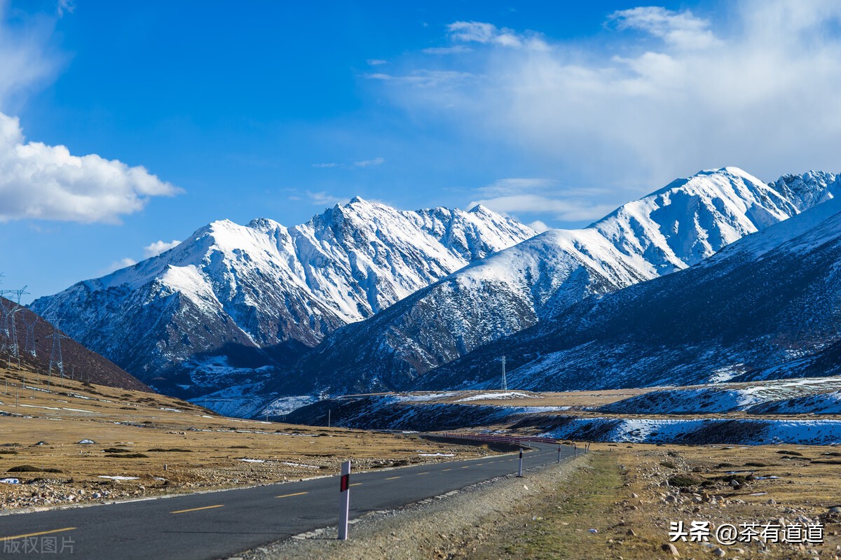 青稞酥油茶，雪域高原上藏族传统茶饮