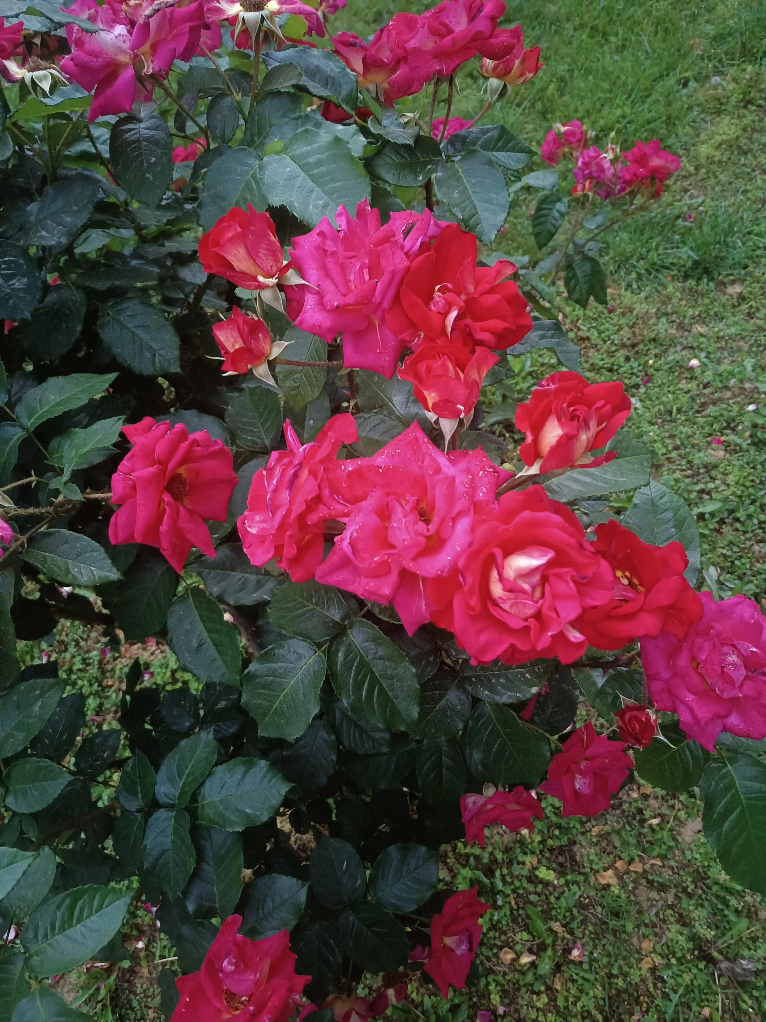 北京到南京的票买不到,北京到南京车票买不到吗