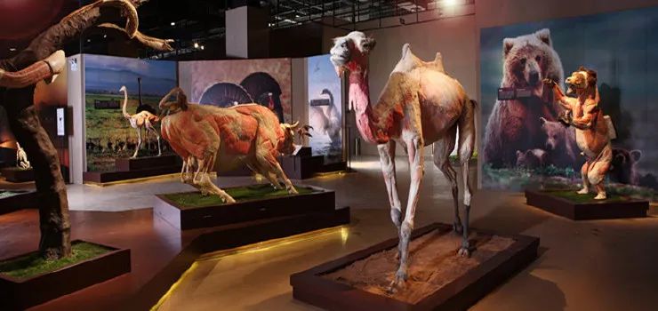 苏州自由行旅游团,苏州两日游旅游团从苏州出发