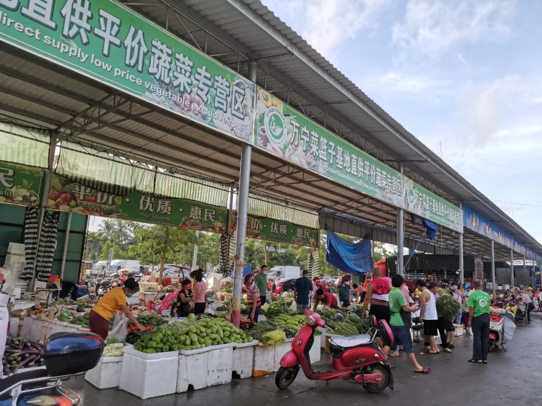 万宁菜篮子蔬菜批发,万宁南林菜篮子配送中心