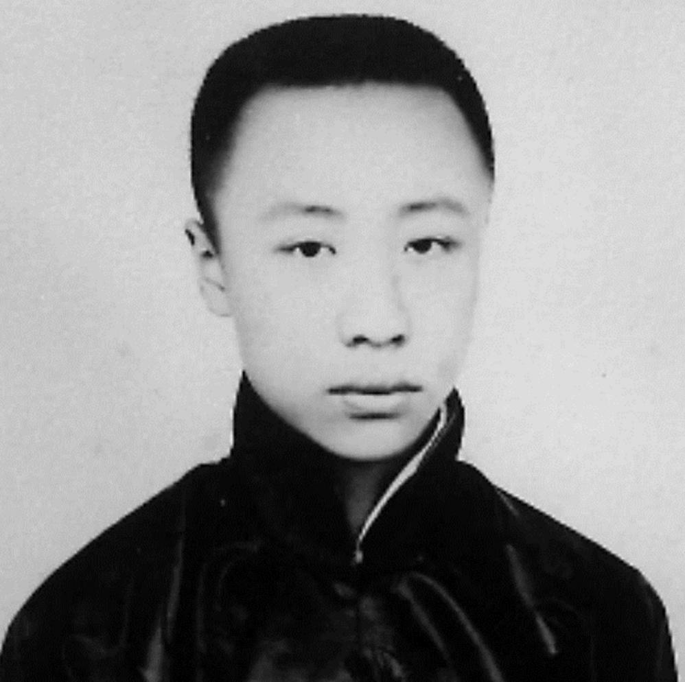 历史上九位末代皇帝的结局,史上最惨皇帝末代皇帝