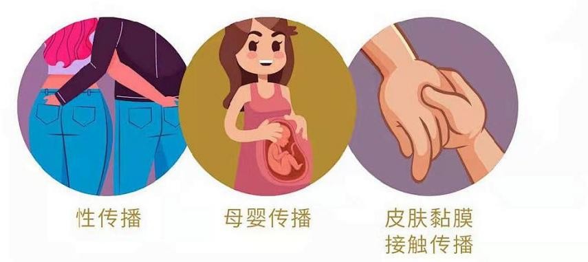 预防宫颈癌吃食物,益生菌预防宫颈癌