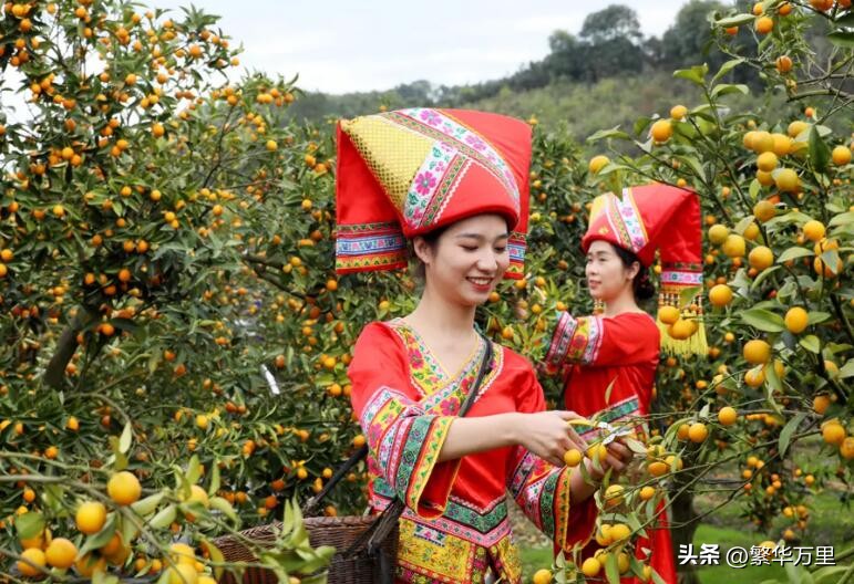 广西水果产量全国第一都有哪些,广西水果量对比其它省水果量