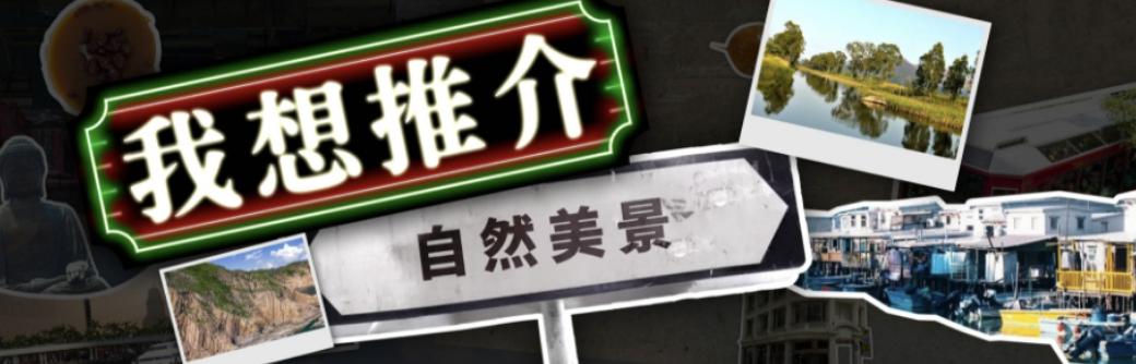 800万本地人给游客票选：香港最强清单