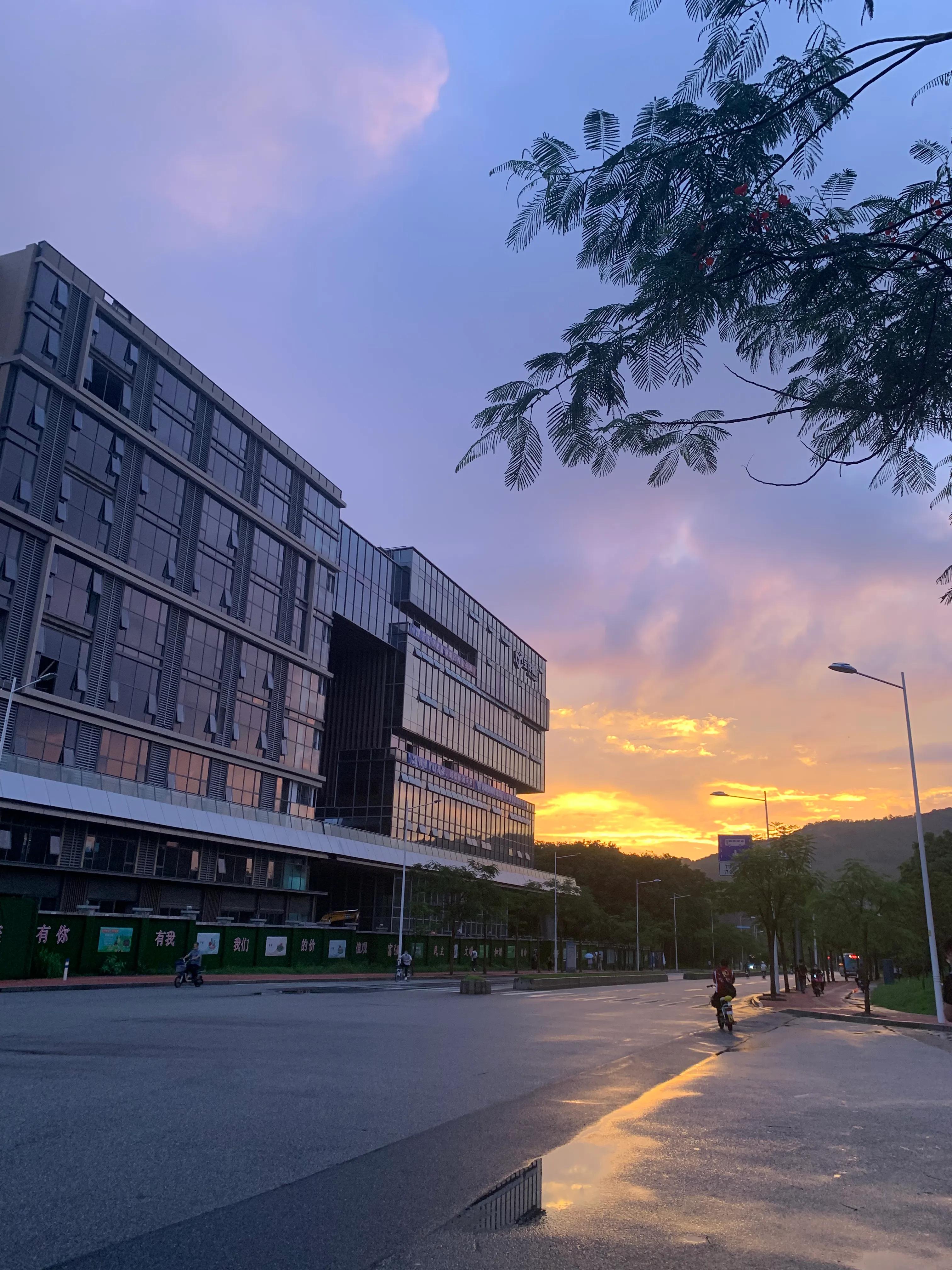 软件公司是做定制好还是做平台好,软件公司的销售怎么做