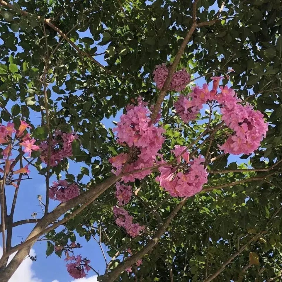 六一童真之旅,欢乐过六一儿童创意作品