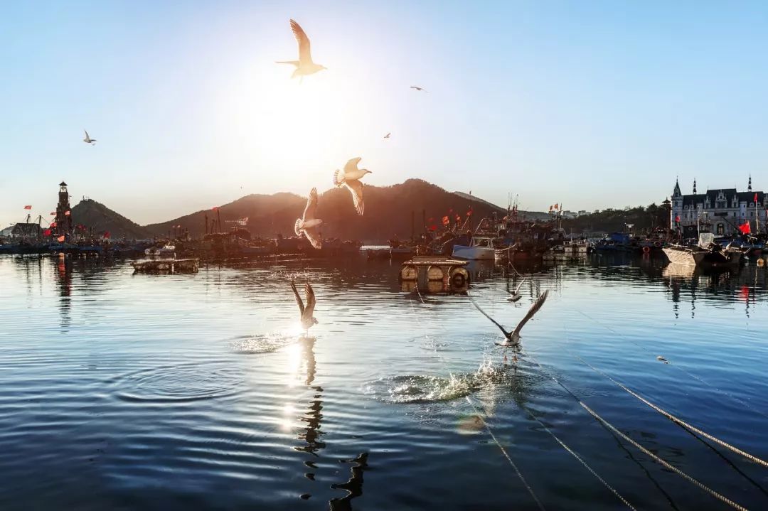 大连之旅的美景,大连海岛旅行感受