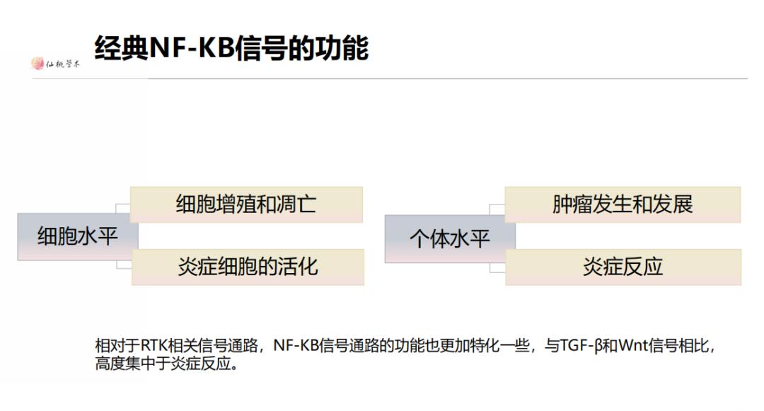 信号通路差异分析,常见的信号通路