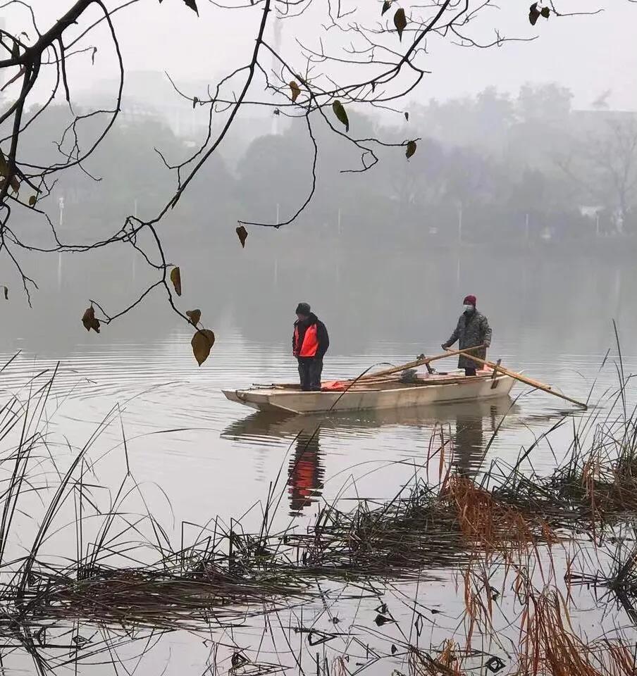 梦里水乡花伞舞,梦里水乡花楼恋歌