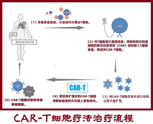肿瘤与免疫的故事,肿瘤免疫治疗十大案例