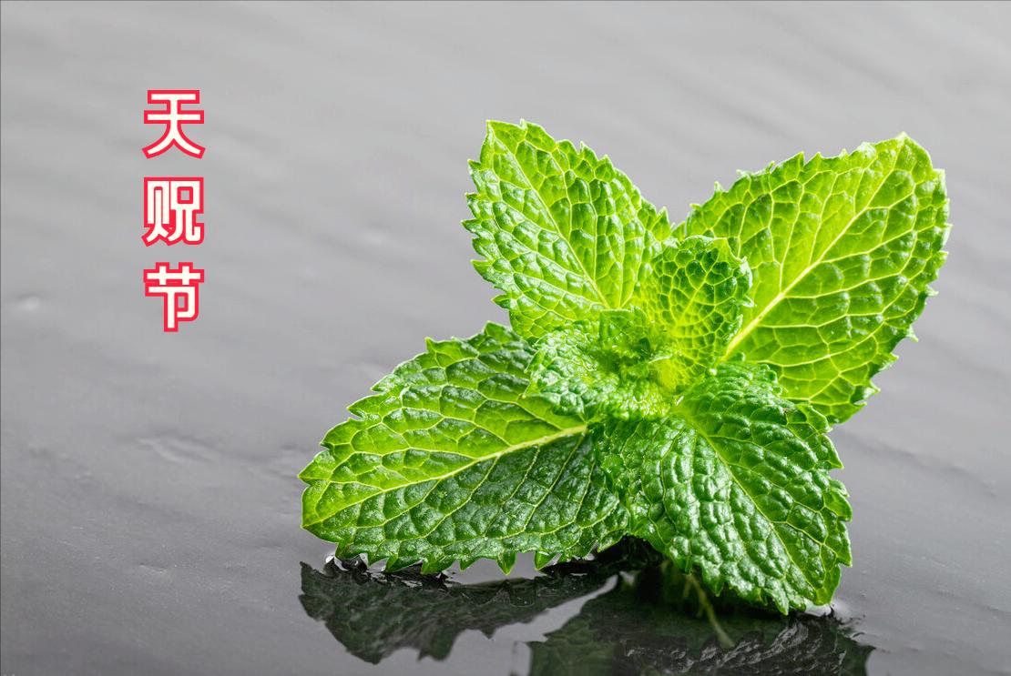 馄饨吃着像饺子?那是馅没调好!牢记“放1味加1油”,馅香汤又鲜