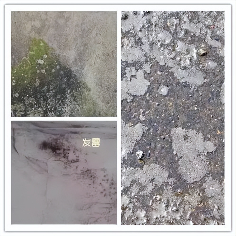 一楼潮湿怎么装修防潮,住一楼怎么防潮最彻底