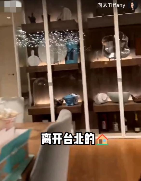 向佐被曝出轨郭碧婷如何回应,郭碧婷向佐婚后最新真实消息