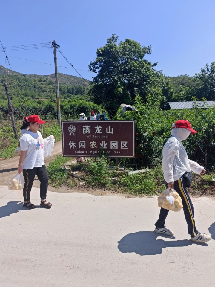 三下乡红色宣讲,三下乡安全宣讲