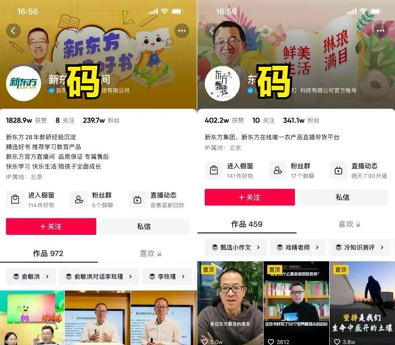 鏂颁笢鏂硅劚鍙ｇ鍩硅瀛︽牎,鏂颁笢鏂硅劚鍙ｇ鍩硅