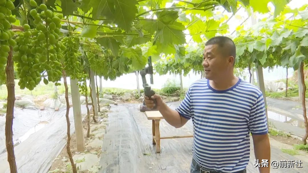 电商直播带动农业电商快速发展,电商直播助农带货有国才有家