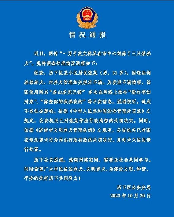 金毛狗狗三兄弟,狗狗三兄弟