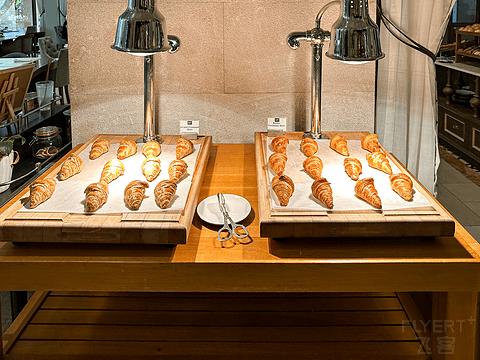 阿联酋丽思卡尔顿,阿联酋野奢帐篷