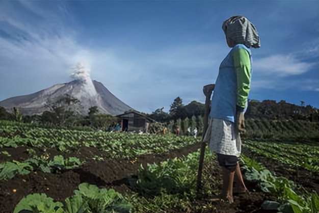 如果你突然被蛇吞下，能否划开蛇肚出逃？科学家作死实验走进蛇窝