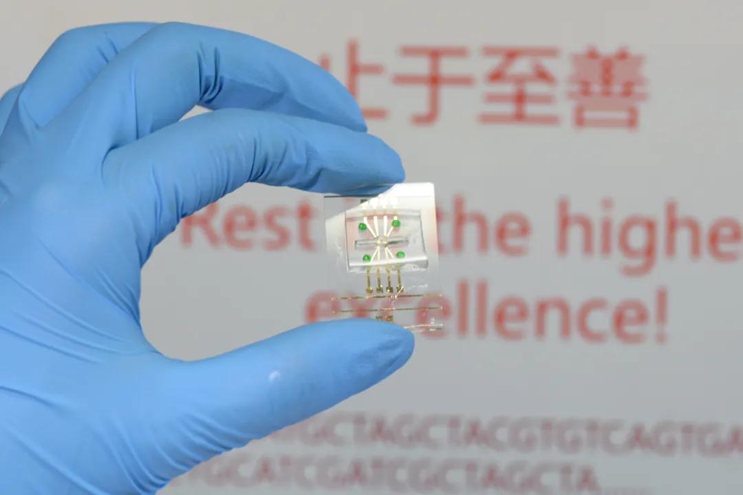 dna用什么可以做,dnau盘