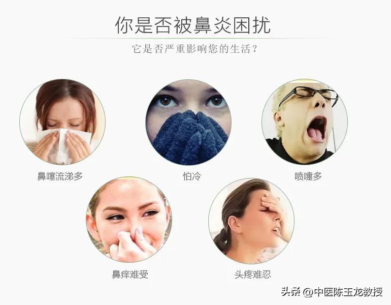 治鼻炎的经典方法,史上最全治鼻炎的方法