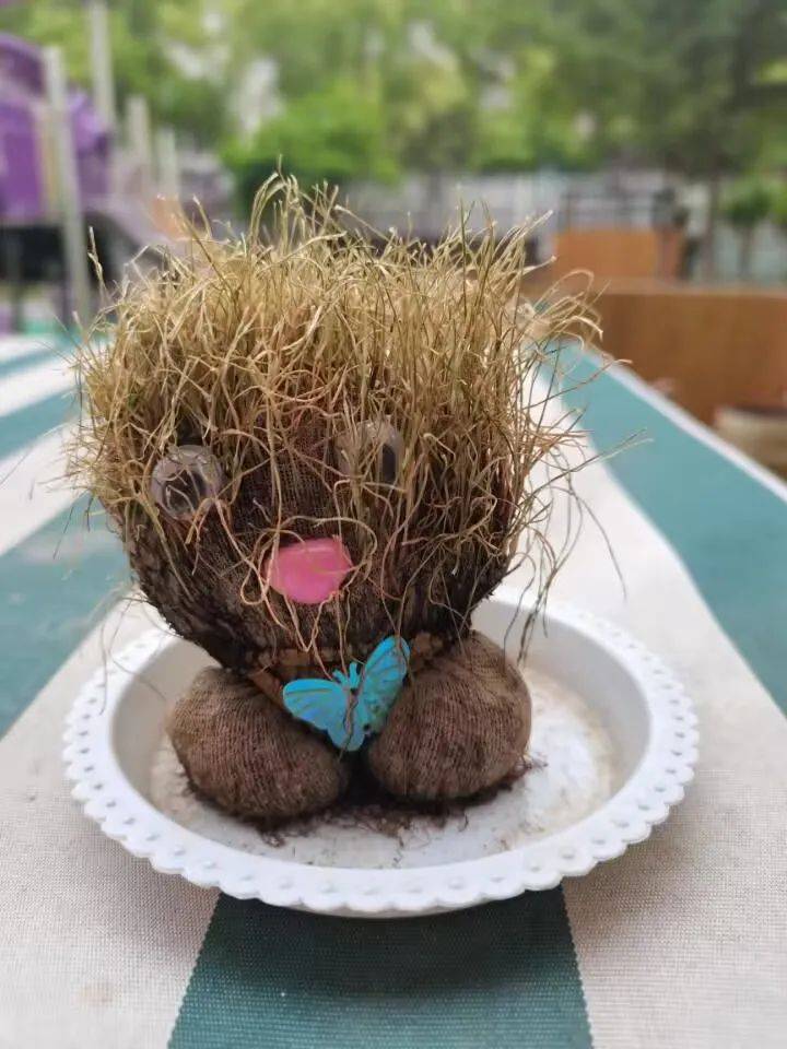 桐乡市庆安乐儿堡幼儿园,浙江省桐乡市庆安乐儿堡幼儿园