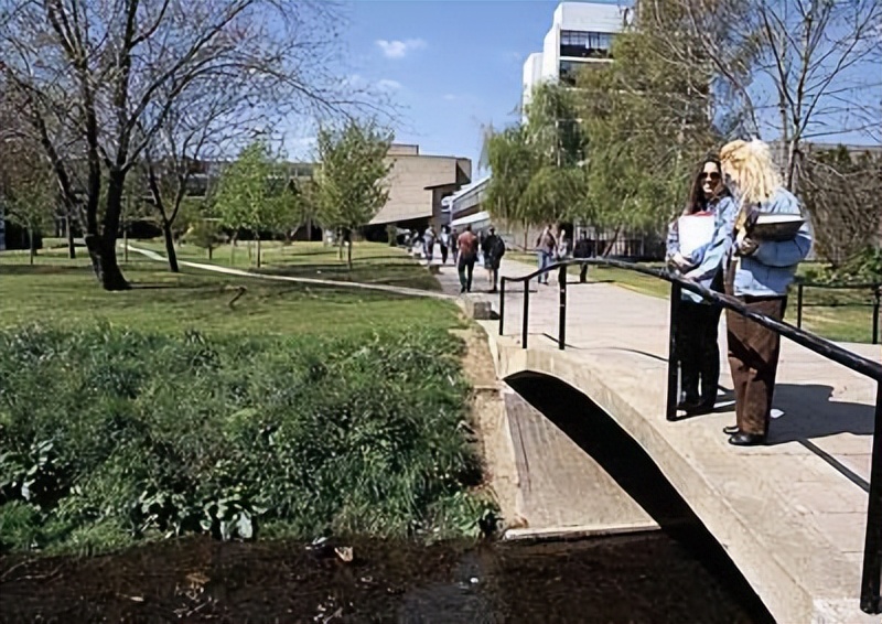 布鲁内尔大学本科条件,布鲁内尔大学校园