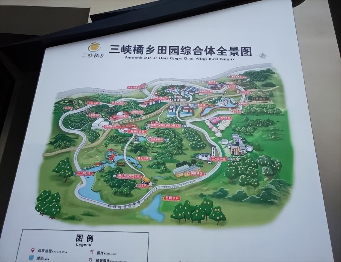 乡村振兴与农民工返乡创业关系图,振兴乡村年轻人返乡如何促进就业