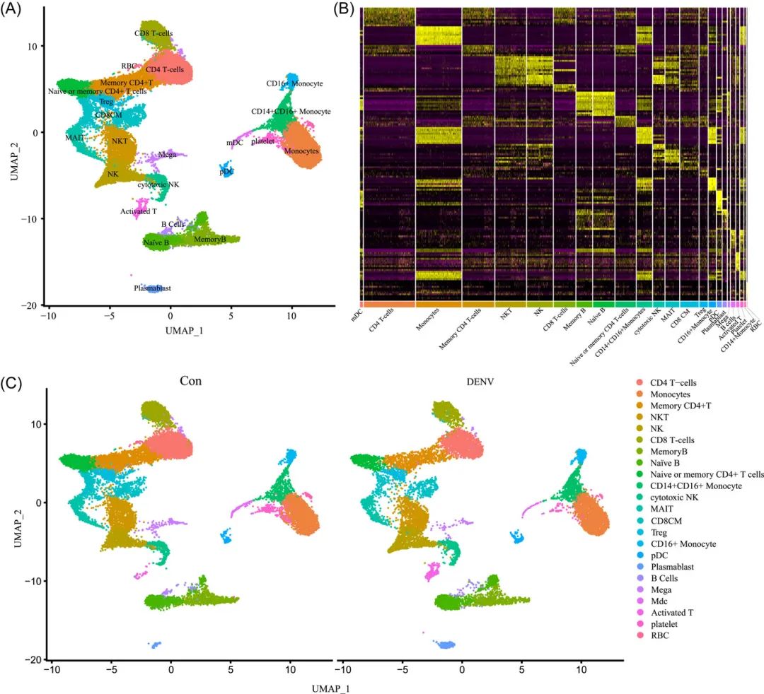 刚发表!20+生信文章,工作量简直太友好了