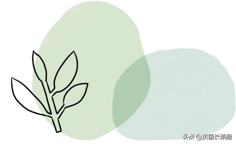 2020年切尔西花展抢先看,2023年切尔西花展