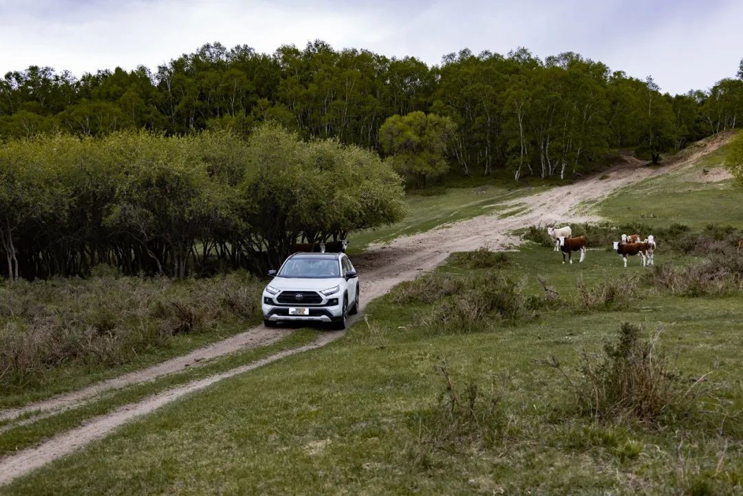 城市suv可以一直选4驱吗,城市suv四驱过炮弹坑