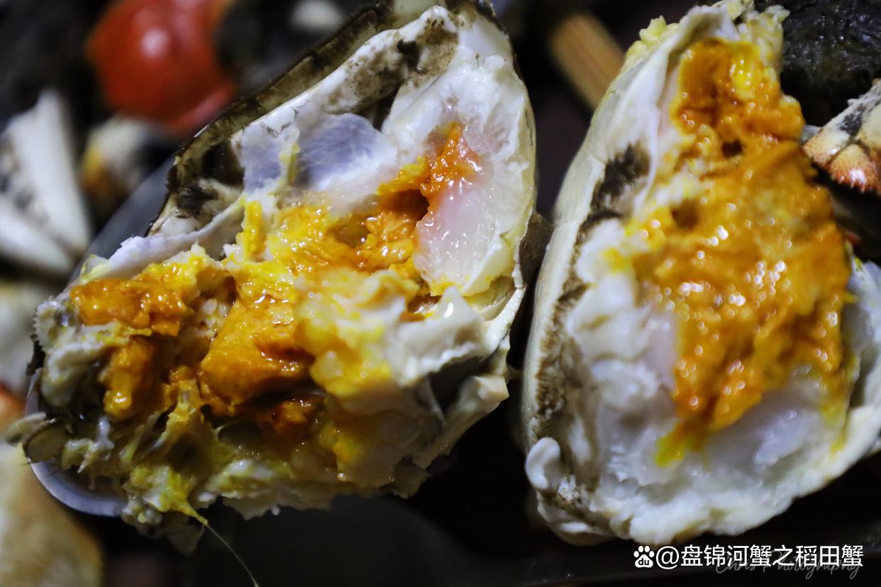 活螃蟹怎样保存才能活得更长时间,活螃蟹怎么放才能保存时间长一点