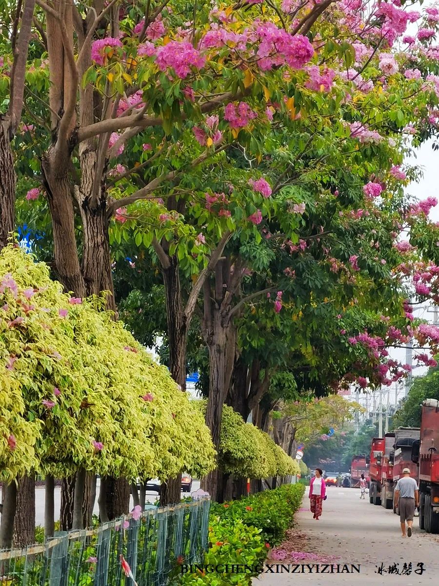 旅居海南,旅居式旅游生活海南