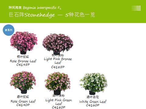 德国疫情带来的变化,德国园艺市场趋势