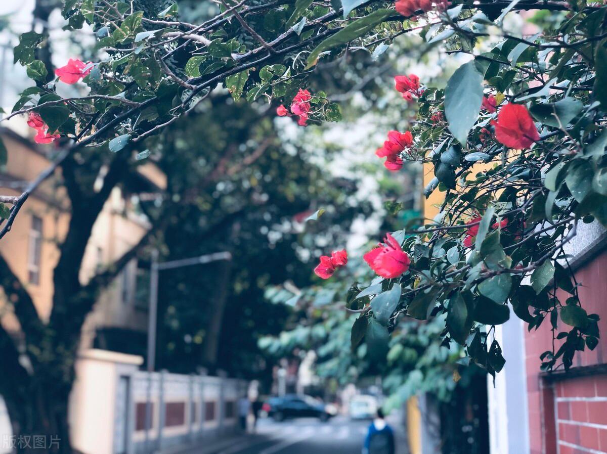 在广州旅游的真实感受,广州旅游必去十大城市