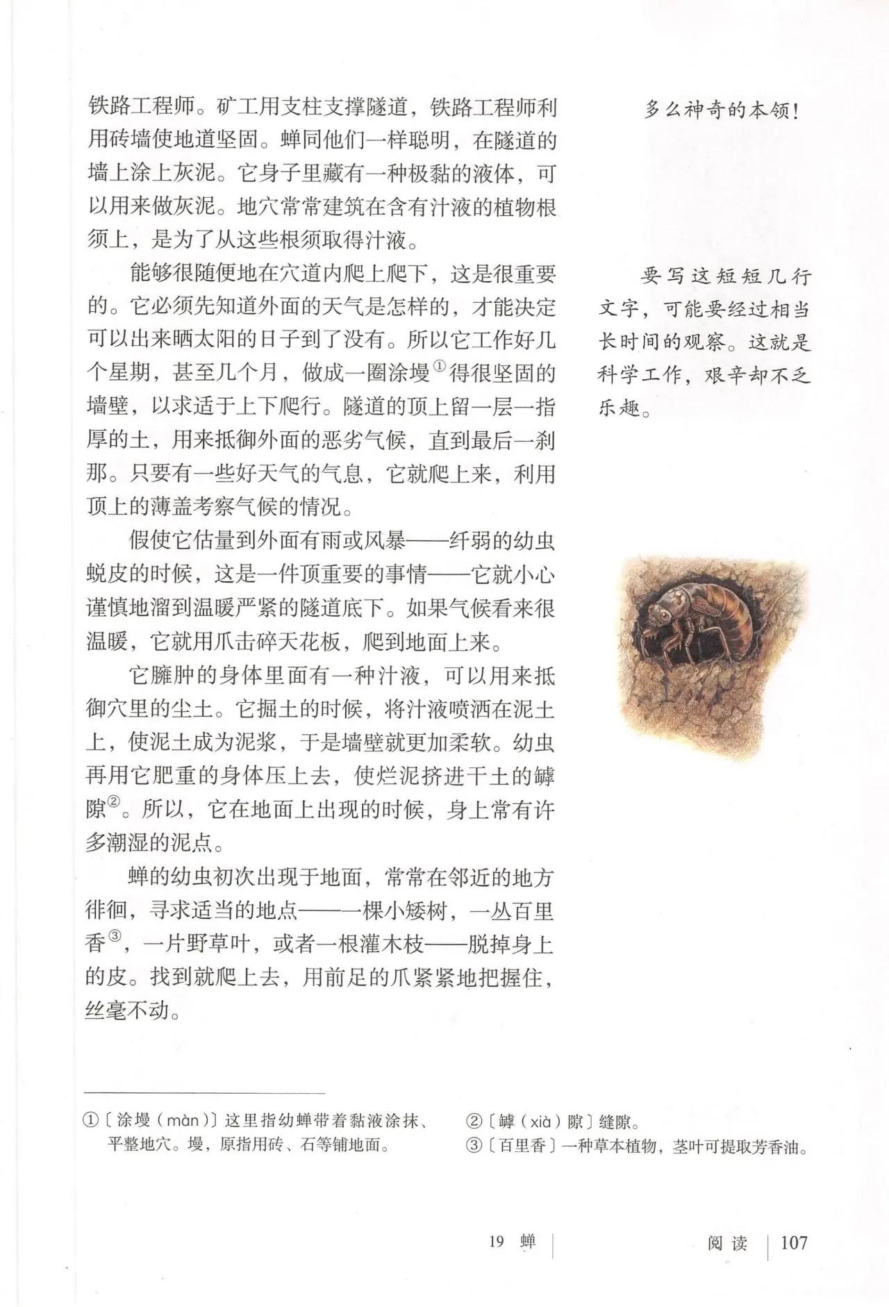 语文八年级上册电子书人教版2021,八年级上册语文书人教版电子2021