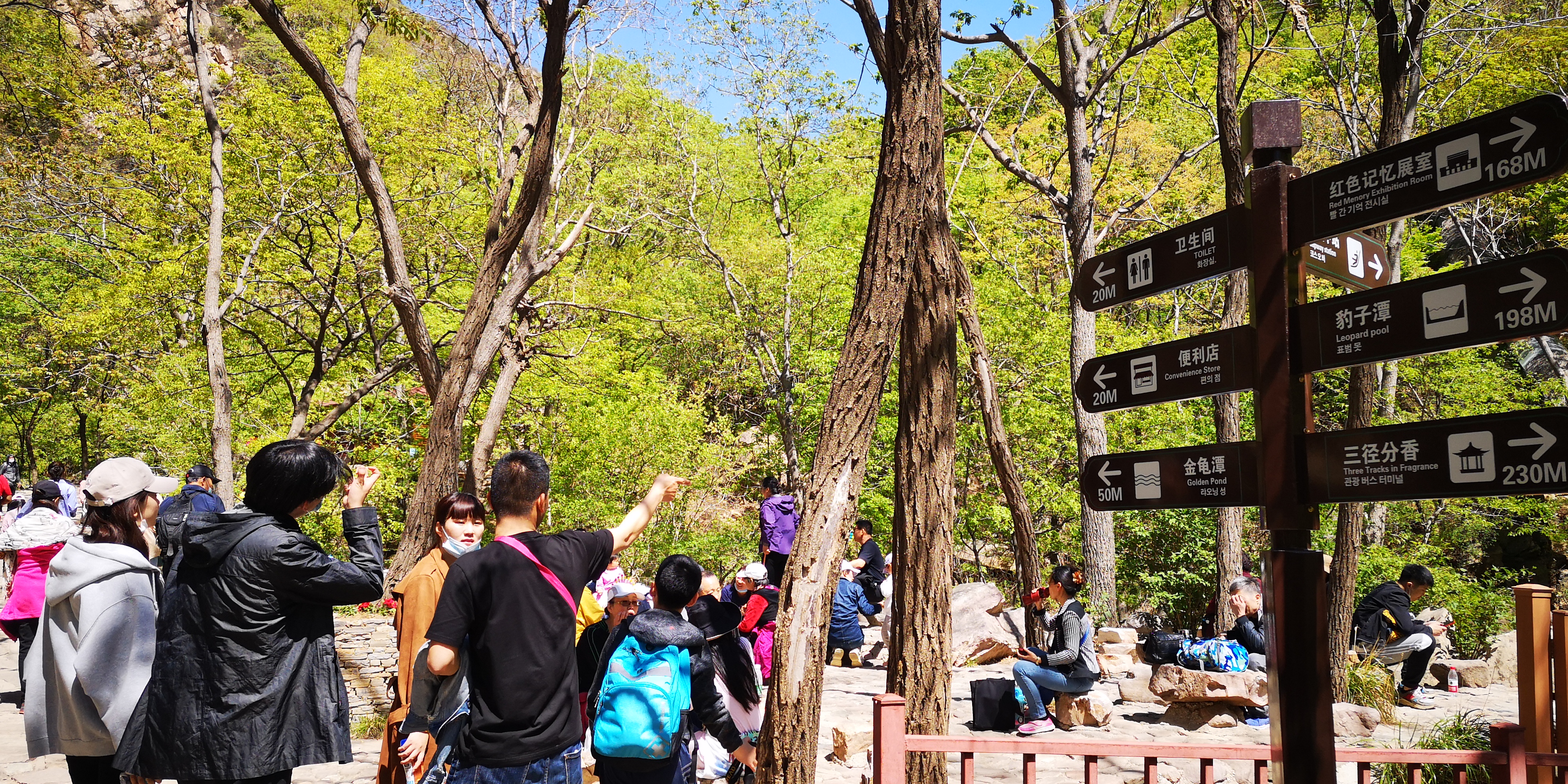 天津梨木台景区值得夏天去的地方,天津蓟县梨木台风景区路线