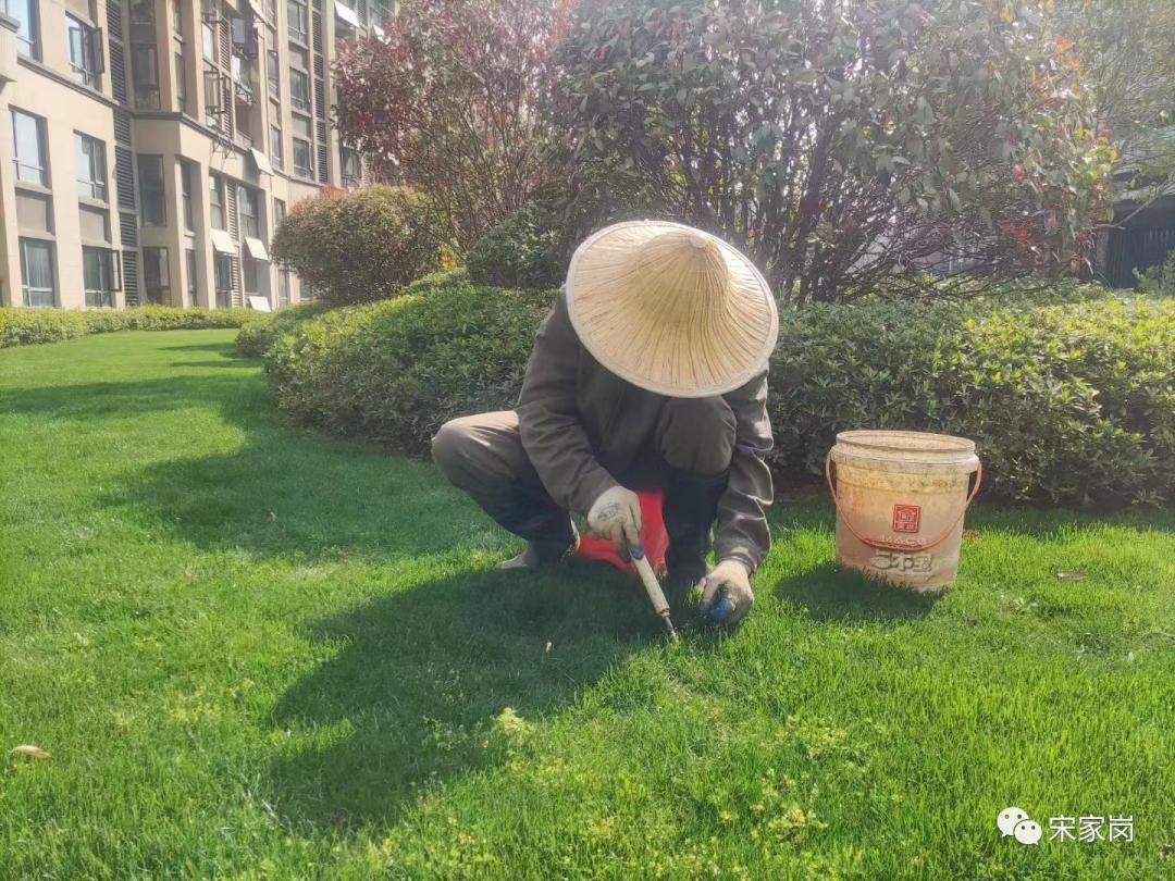 武汉盘龙城种草专业户—新力帝泊湾小区,小区品质离不开细节处理