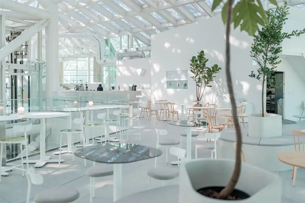 台湾“小而美”商业再出彩，7个最新案例，3大“秘笈”玩法