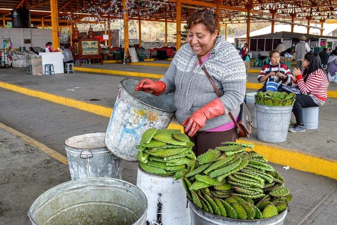 墨西哥的生活环境是什么样,墨西哥的人民怎么生活