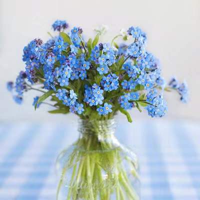 蕙心纨质的意思是什么,蕙心纨质的下一句