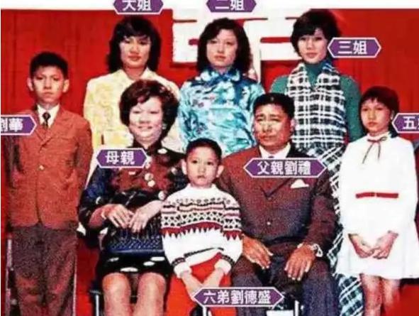 刘德华私生饭杨丽娟,杨丽娟事件刘德华是怎么回应的