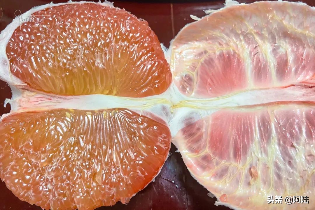 泰国红宝石青柚有前景吗,泰国红宝石青柚优缺点