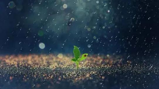 活着就有希望完整版,活着需要勇气活着就有希望