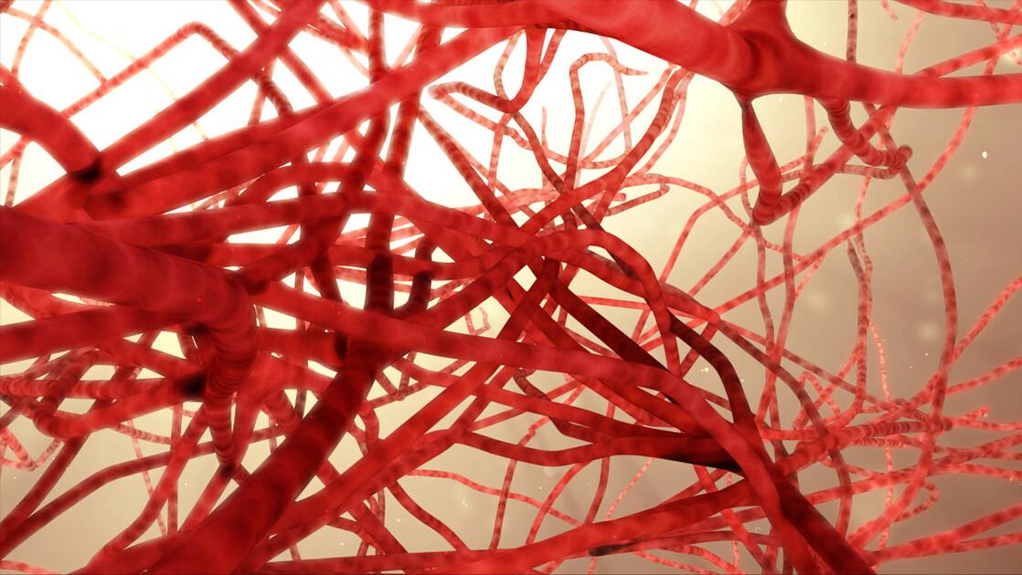 中老年人有必要补充辅酶q10吗,辅酶q10老年人真的需要补吗