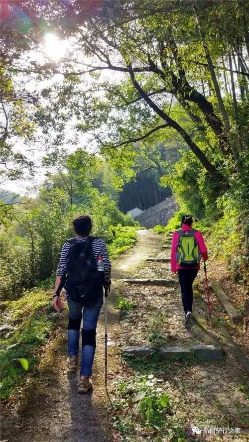 闺蜜小说知乎,闺蜜小说免费阅读