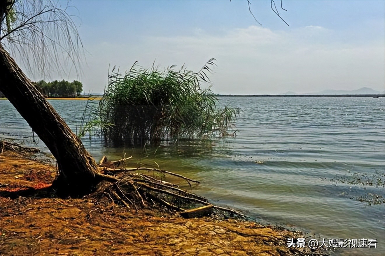 18岁少女被杀惨遭抛尸破案,花季少女被杀抛尸荒野追凶十三年
