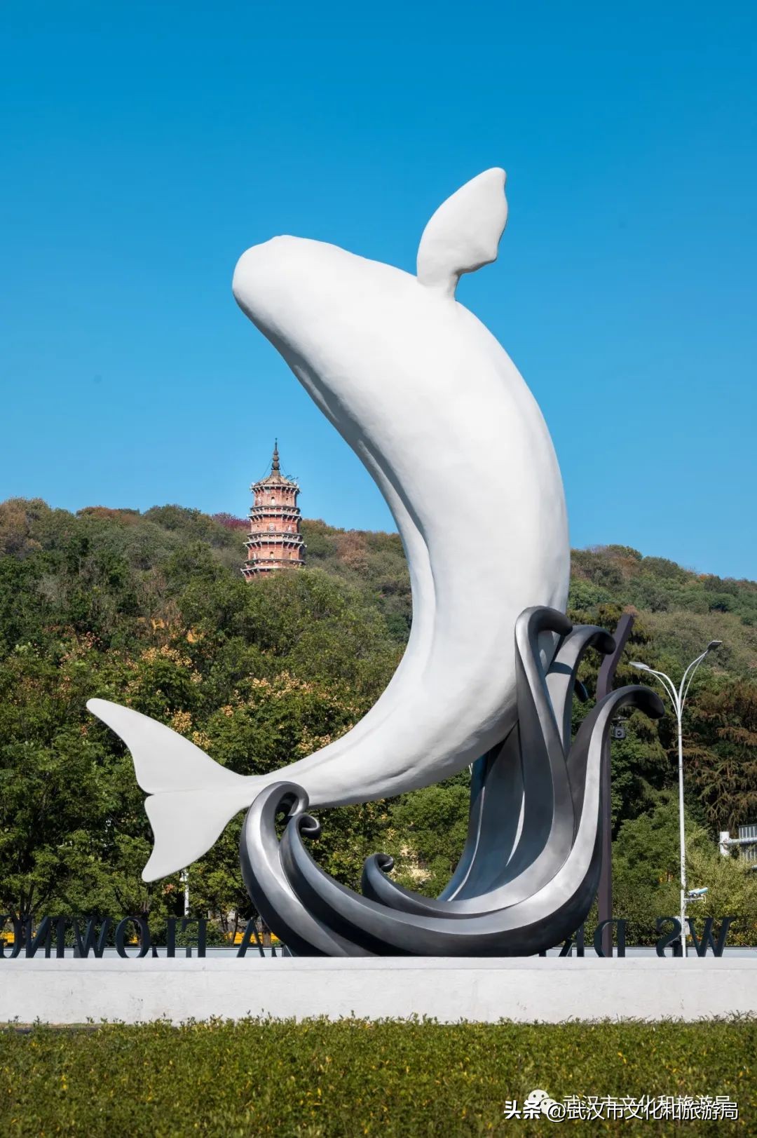 梦时代准备,炉鱼来了梦时代电话