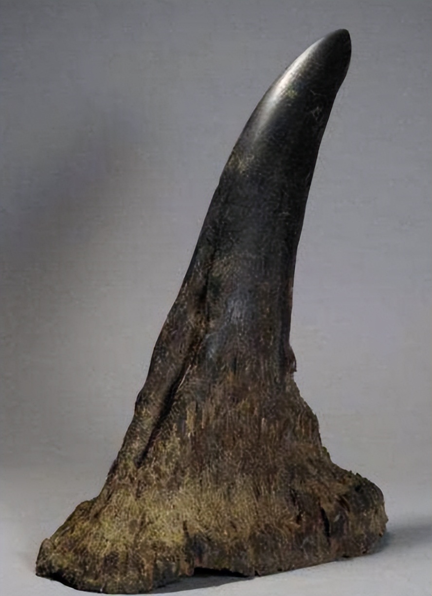 浅析南洋诸国与华侨的商贸往来