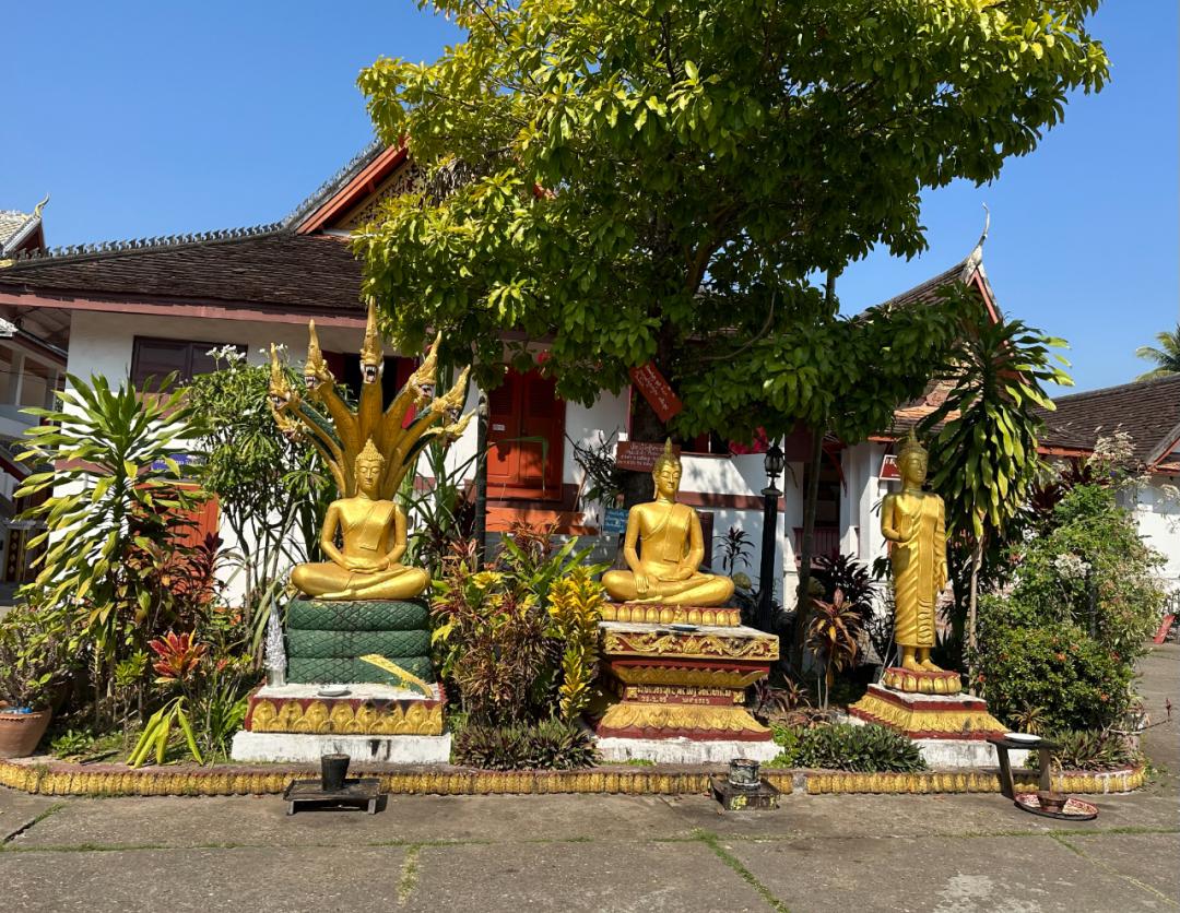 如何乘坐中老铁路到老挝,乘坐中老铁路怎么通关